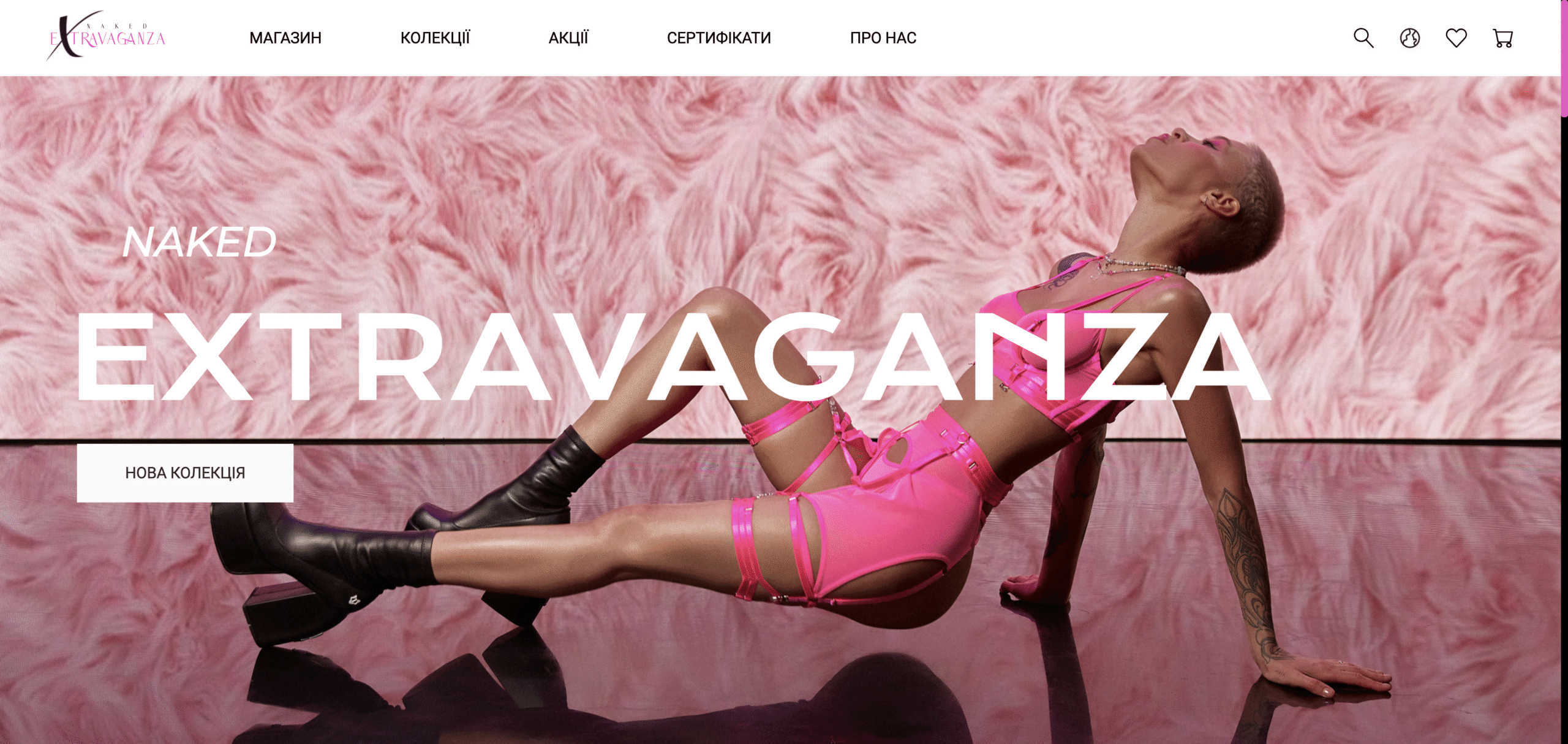 portfolio-4